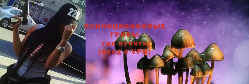 Псилоцибиновые грибы Psilocybe  darknet состав  Надым  гидра tor 